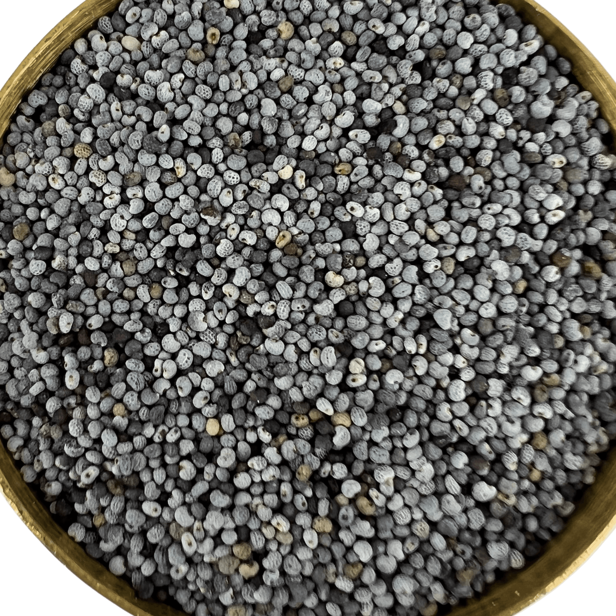Afghan Poppy Seed