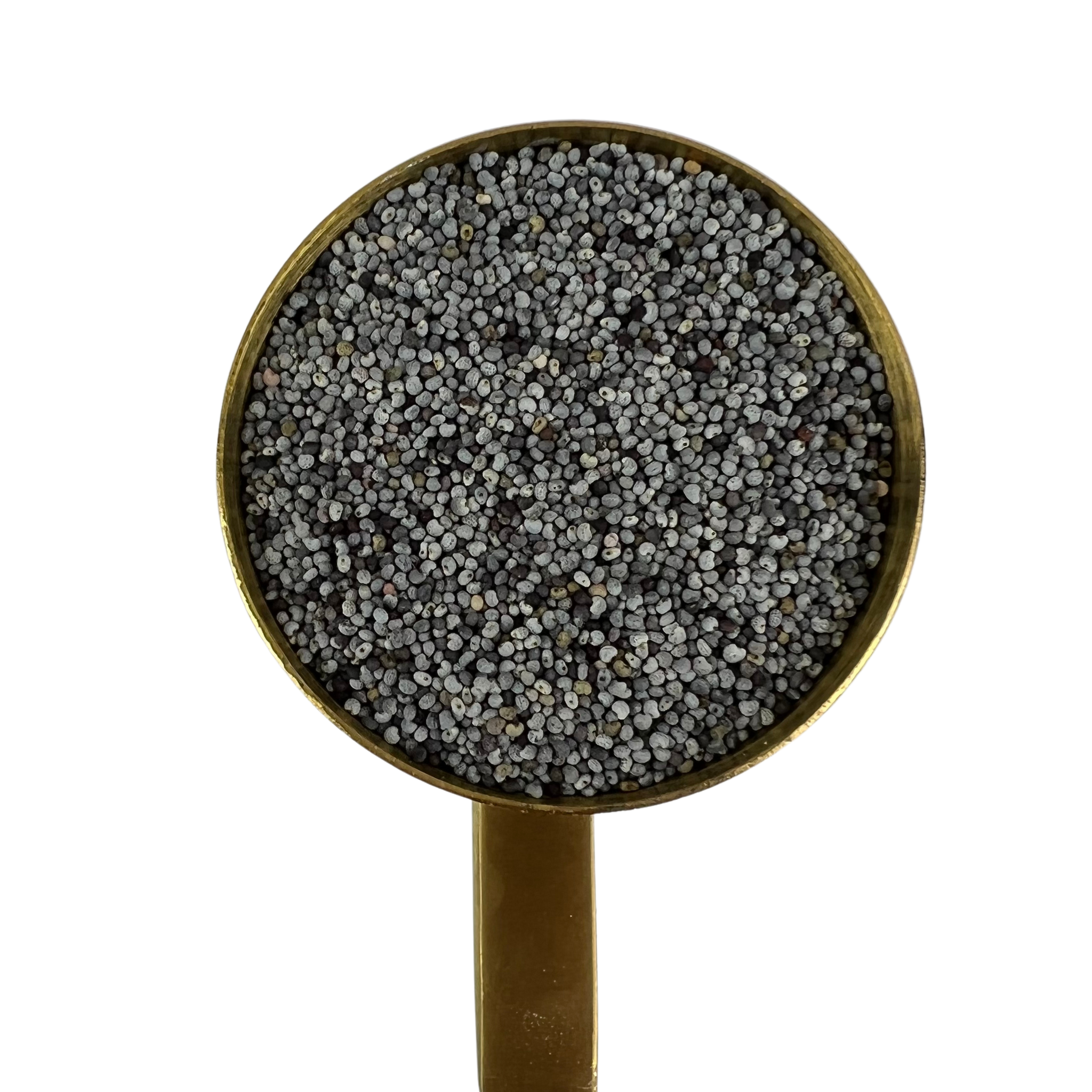 Afghan Poppy Seed